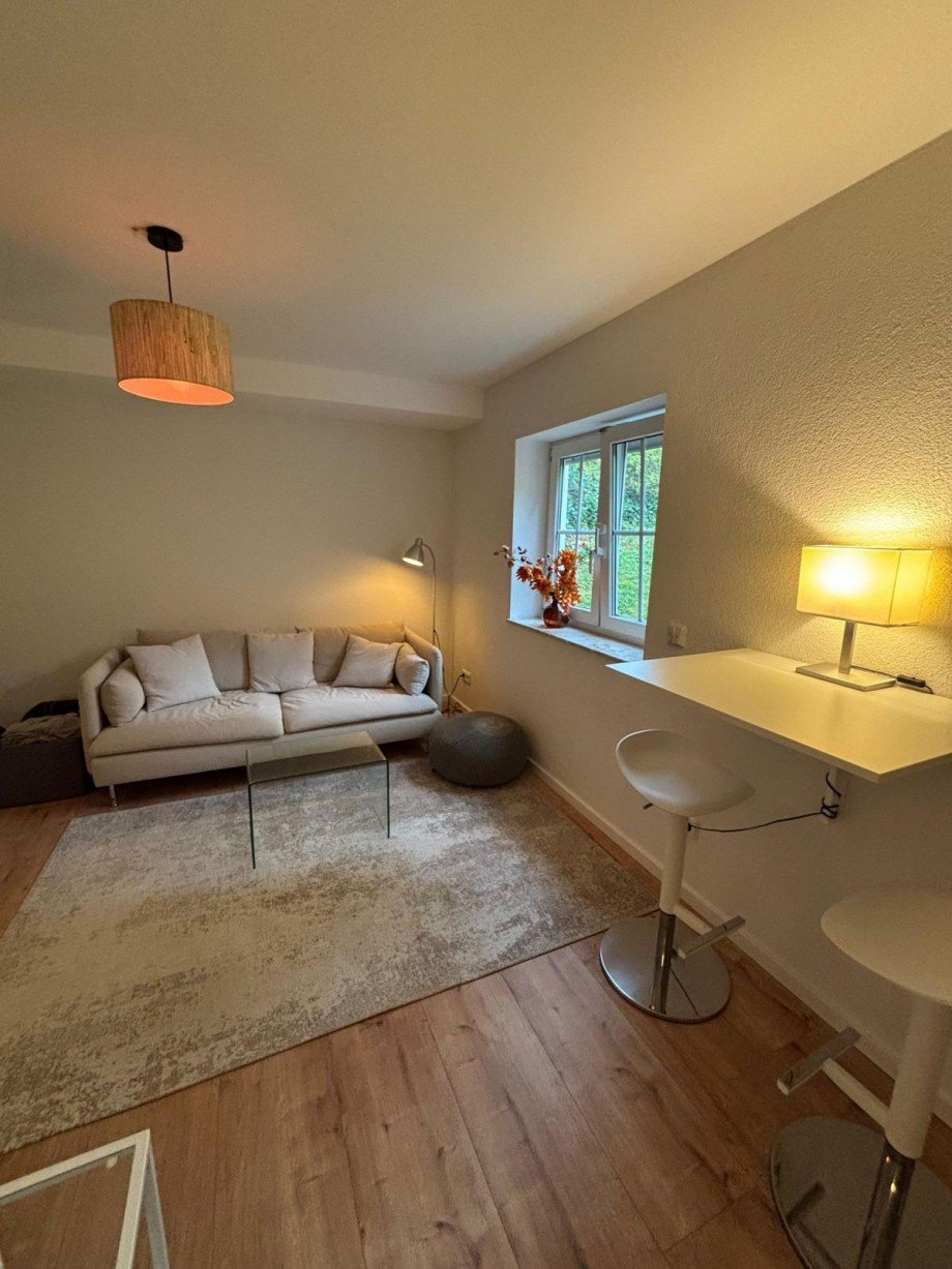 Wohnzimmer Einlieger Haus Hambach